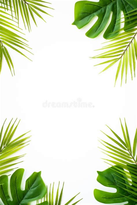 Summer Flat Lay Background Sea Vacation On White Stock Photo Image