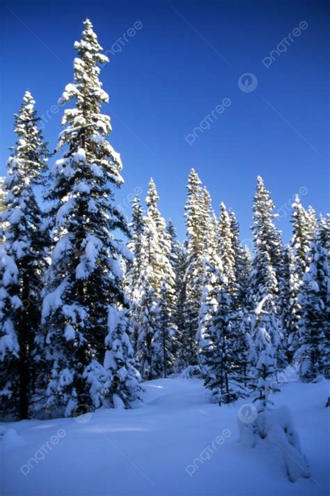 Kopaonik Background Images, HD Pictures and Wallpaper For Free Download ...