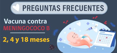 Preguntas Frecuentes Vacuna Contra El Meningococo B Salud Responde