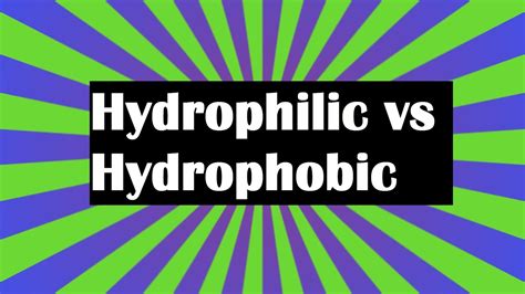 Hydrophilic Vs Hydrophobic YouTube