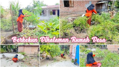 BERKEBUN DIHALAMAN RUMAH DESA SEDERHANA DAILY VLOG IRT DESA YouTube