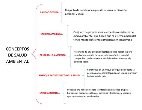 Mapa Conceptual Conceptos De Salud Ambiental Conceptos De Salud Ambiental Calidad De Vida