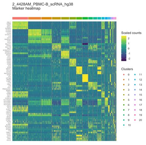 Single-Cell and Single-Nucleus RNA-Seq (scRNA-Seq/snRNA-Seq) Service