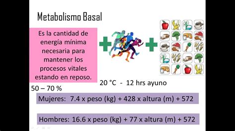 Acuoso donde quiera crédito indice metabolico basal calcular patata