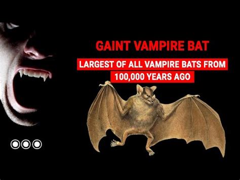 Scientists Discovered the remains of a 100,000 Year Old - Giant Vampire ...