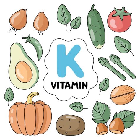 Premium Vector Vitamin K Products Food Sources Flat Vector