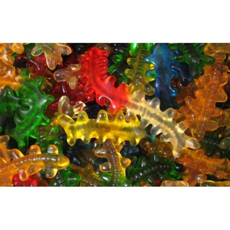 Gummy Centipedes Scorpion Candy 22 Pounds Assorted Flavors Gummi Candy