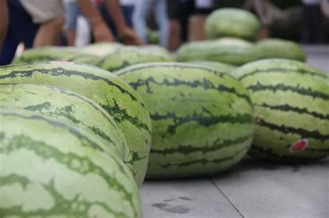 炎炎夏日送清凉，丝丝关怀沁人心