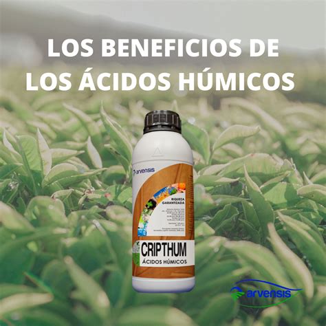 Los ácidos húmicos CRIPTHUM Arvensis Agro