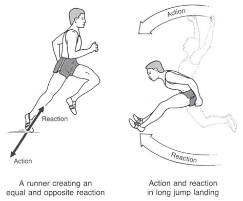 Biomechanics Of The Long Jump April 2013