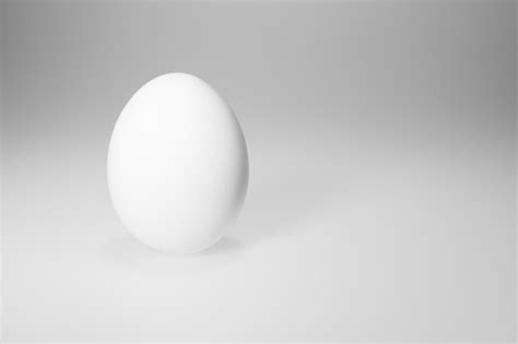 Single Egg Food Background Stock Photo Download Image Now Animal