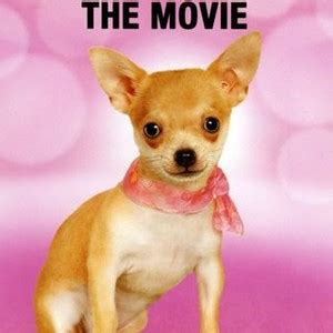 Chihuahua: The Movie - Rotten Tomatoes