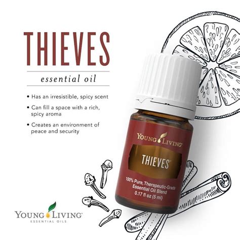 Thieves, Thieves Oil, Young Living Essential Oil, Thieves 15ml, 5ml Thieves Vitality Bottle ...