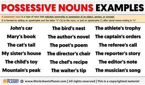 Possessive Nouns Examples With Pictures