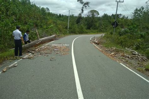 Pantau Daerah Rawan Kecelakaan Dishub Lakukan Survei Jalan Antara