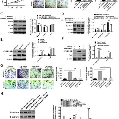 Linc00052 Regulates The Proliferation And Migration Of Breast Cancer