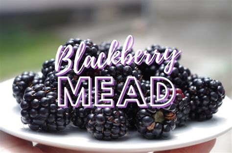 Blackberry Mead The Perfect Berry Melomel