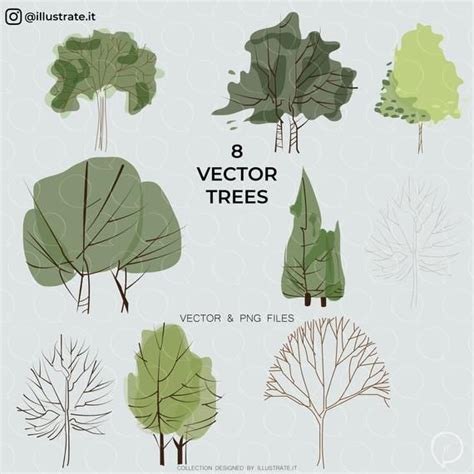 Trees Illustration Tree Vector Png Architectural Trees Planer Layout