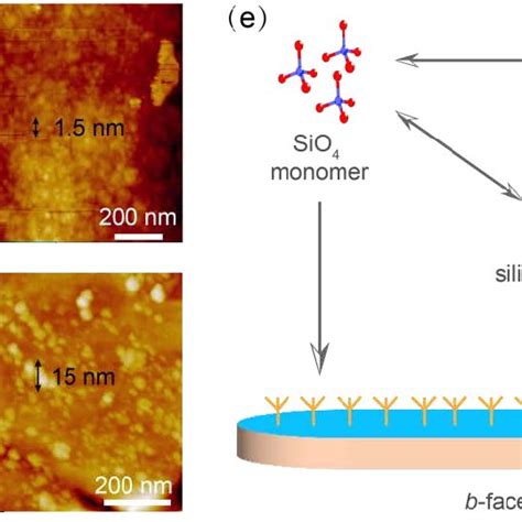 SEM And PXRD Characterization Of B Oriented MFI Zeolite Membranes A