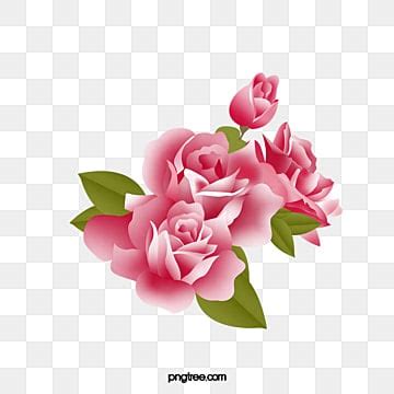 Desenho De Rosas Vermelhas PNG Images Vetores E Arquivos PSD