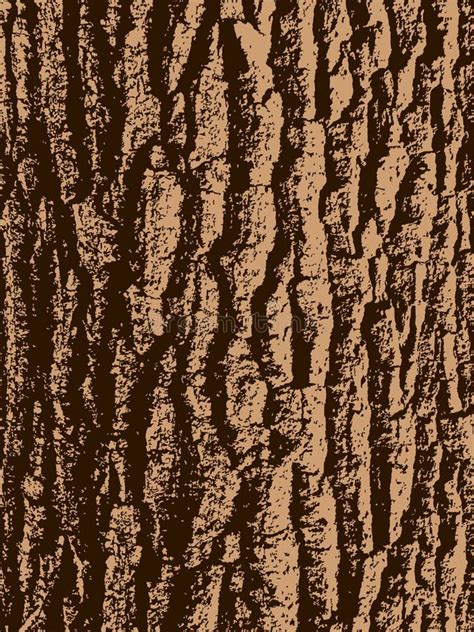 Tree Bark Clipart