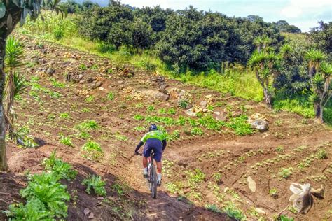 Tour En Bicicleta Por Nisperolandia Antigua Guatemala Civitatis