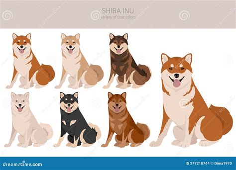 Shiba Inu Color Variations