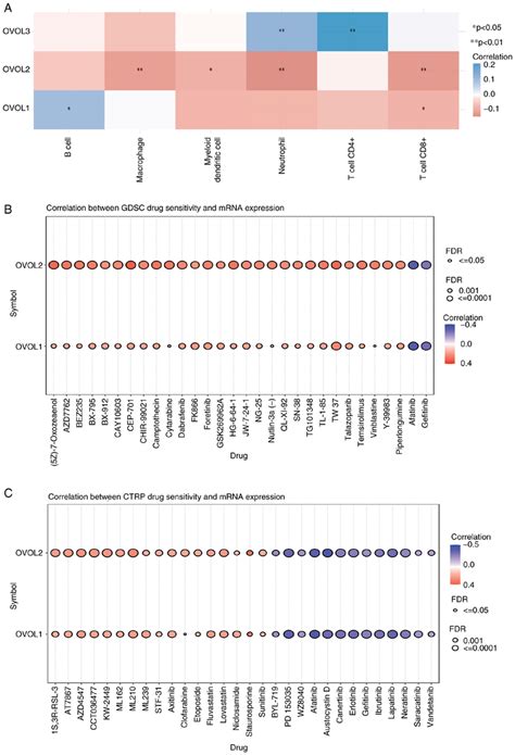 Analysis Of The Correlation Between Ovol And Immune Cells And Drug