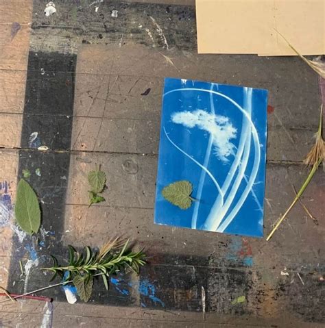 Cyanotype Workshop Berlin Drawing Room