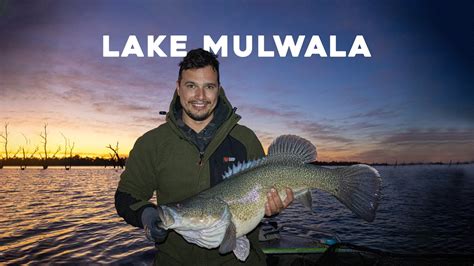 Lake Mulwala Murray Cod MADNESS YouTube