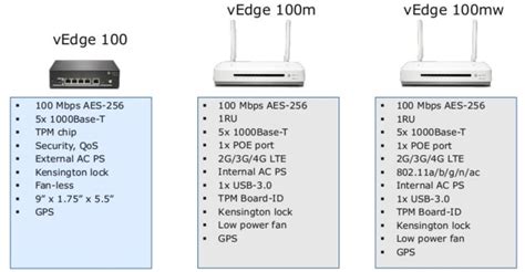 Sd Wan Deep Dive Wan Edge Routers Carpe Dmvpn