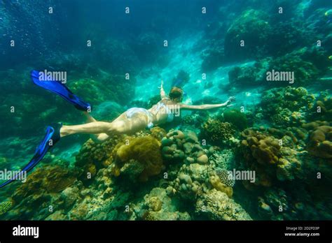 Frau schnorcheln im weißen Bikini tief schwimmen im Korallenriff der Surin Inseln Andamanensee