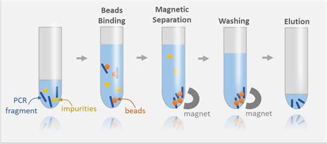 Magnetic Beads (PCR Purification) | for PCR>80 bp