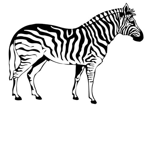 Free Printable Zebra Coloring Pages For Kids