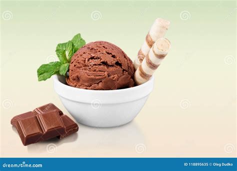 Chocolate Ice Cream in the Bowl Stock Image - Image of maroziva, cold ...