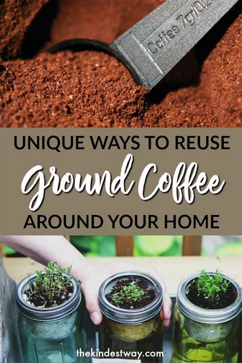 Ingenious Ways To Recycle Coffee Grounds The Kindest Way Uses For