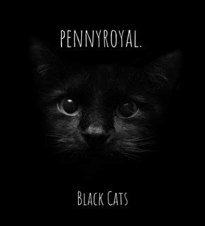 Pennyroyal. | Chartmetric