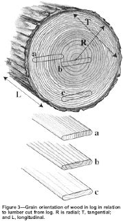 forestry: DEFECTS IN WOOD