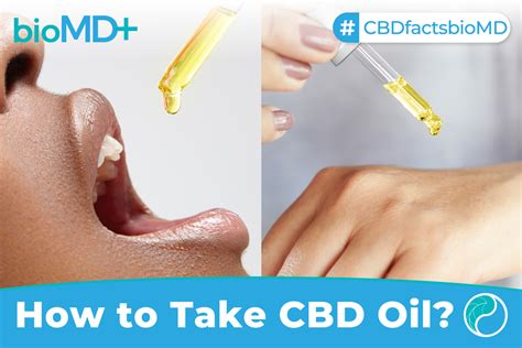 How To Take Cbd Oil What Method Is The Most Effective