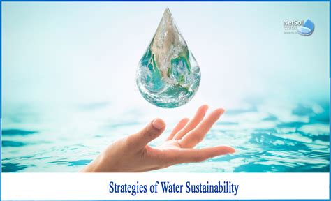 What Are The Strategies Of Water Sustainability Netsol Water