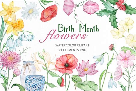 Watercolor Birth Month Flower Clipart 1964355