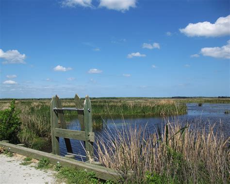 Savannah National Wildlife Refuge Hiking Trails | South Carolina