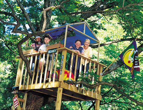 Como Construir Una Casa En Un Arbol Sin Da Arlo