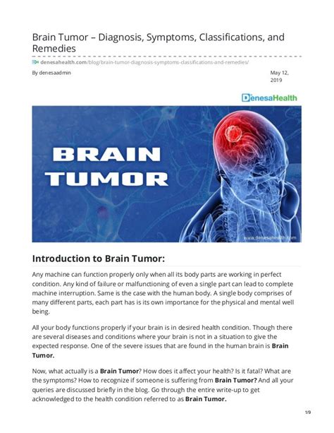 Brain Tumor – Diagnosis, Symptoms, Classifications, And Remedies