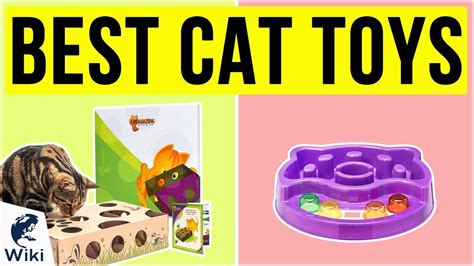 10 Best Cat Toys 2020 Youtube