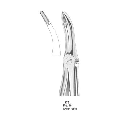 Fig Lower Root With Fitting Handle Dental Extracting Forcep