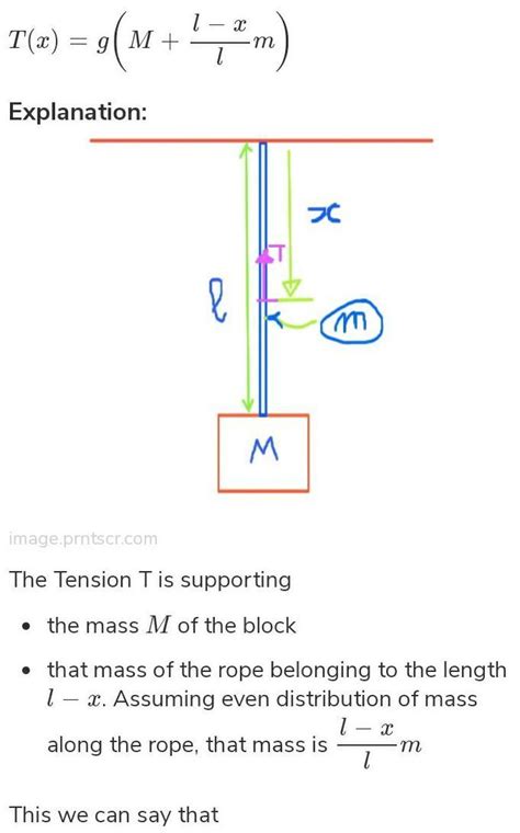 A Heavy Block If Mass M Hangs In Equilibrium At The End Of A Rope Of