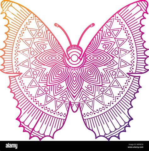 Hand Drawn For Adult Coloring Pages With Butterfly Zentangle Stock