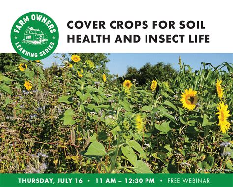 Cover Crops For Soil Health And Insect Life Illinois Sustainable Ag