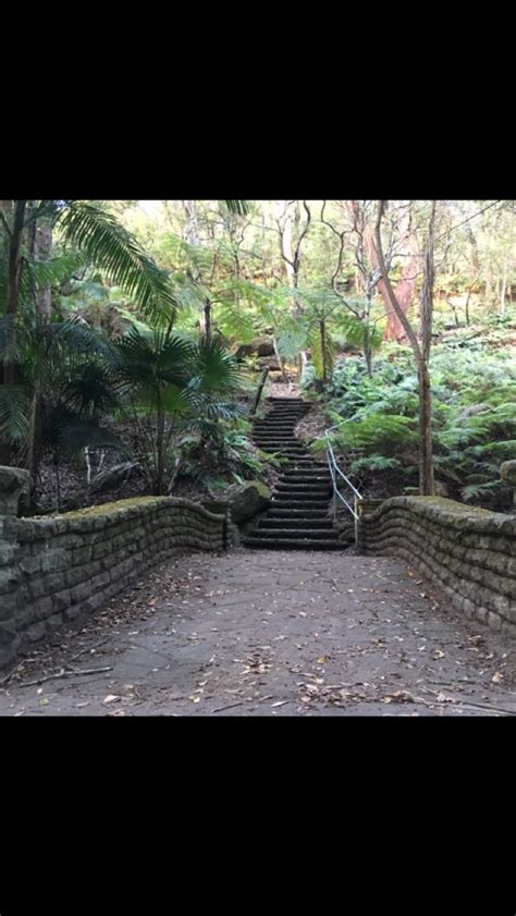 Cooper Park Sydney Urban Area Outdoor Furniture Outdoor Decor Park